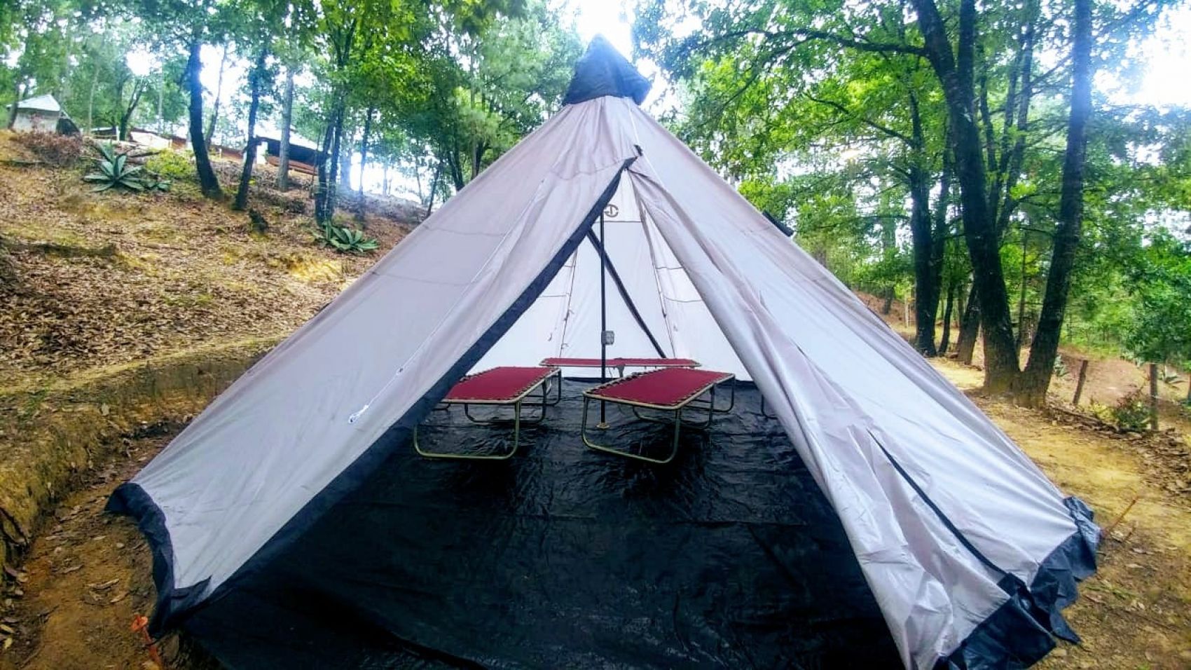 Camping