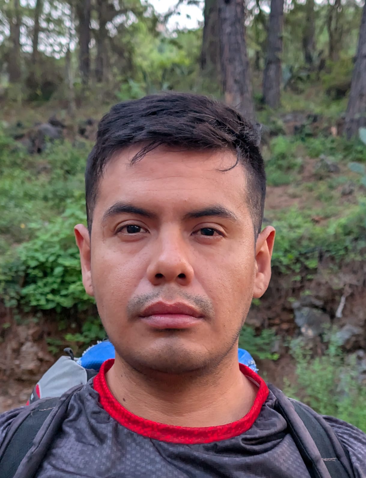 Juan Carlos Becerril Nava