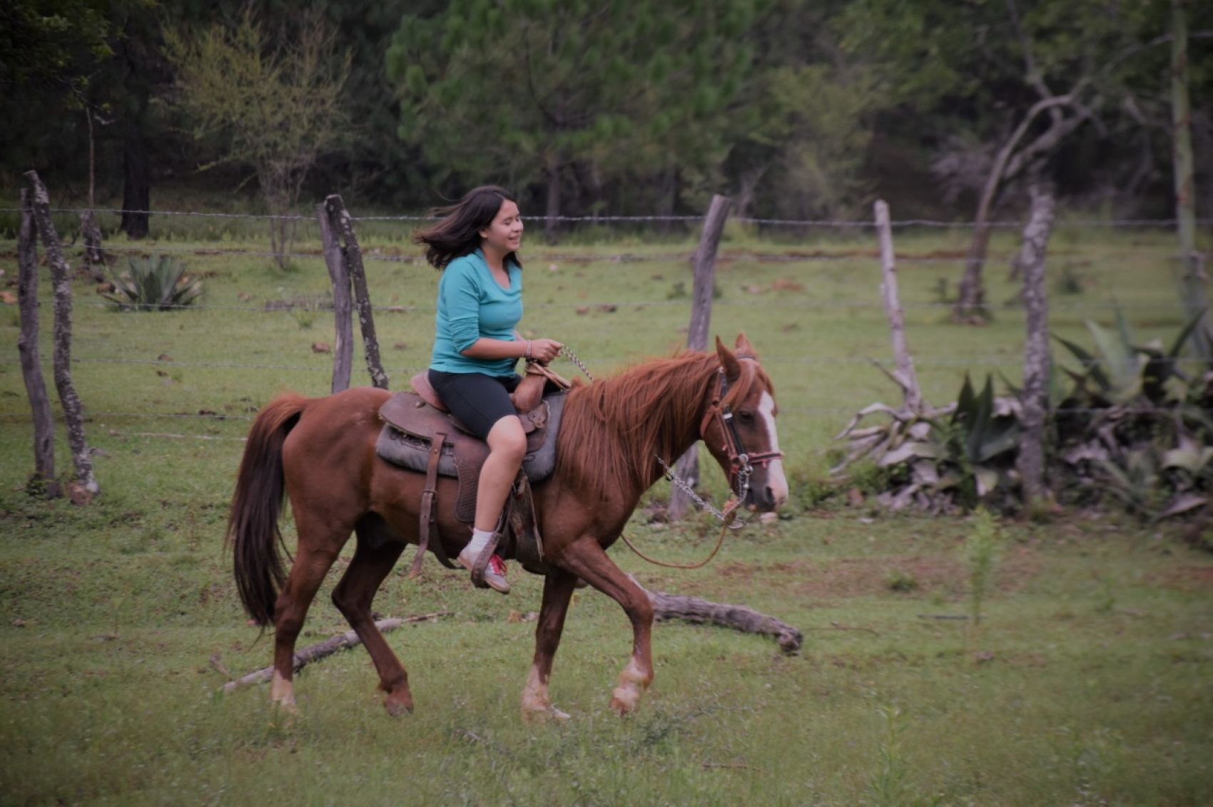 Campamento de Pascua