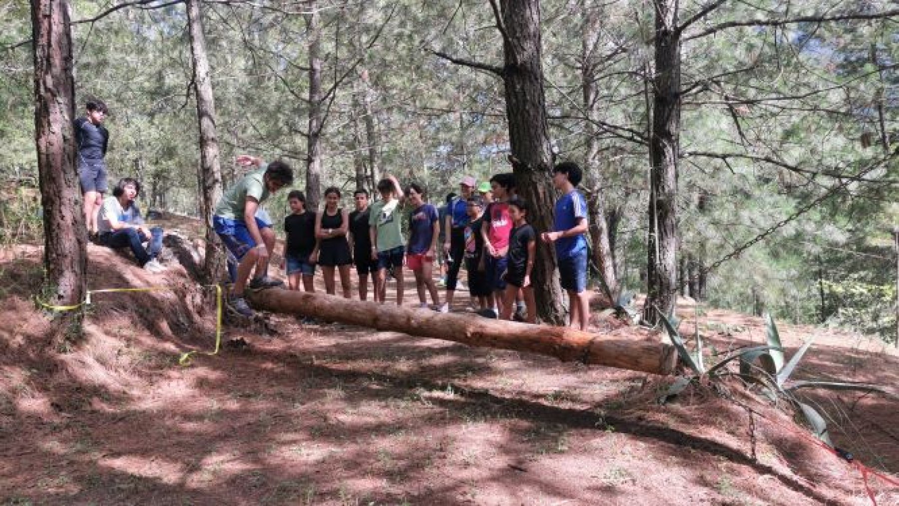 Campamento Taller de Montaismo y Supervivencia