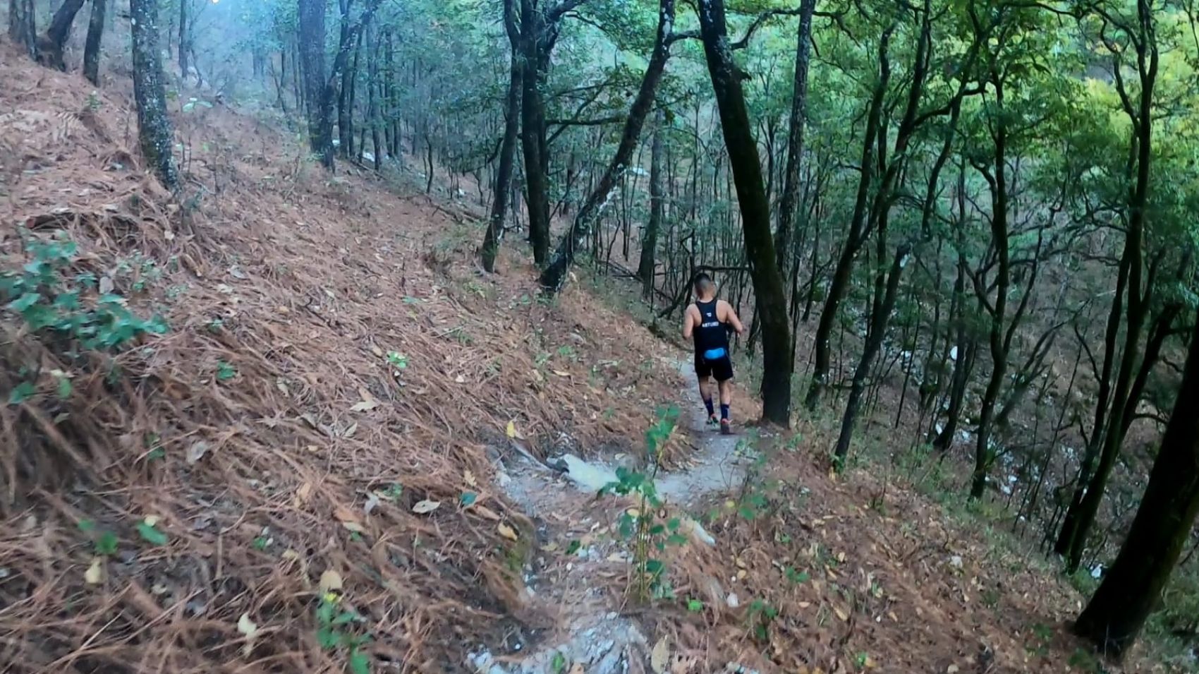 La Muela de Chancaca Night Run